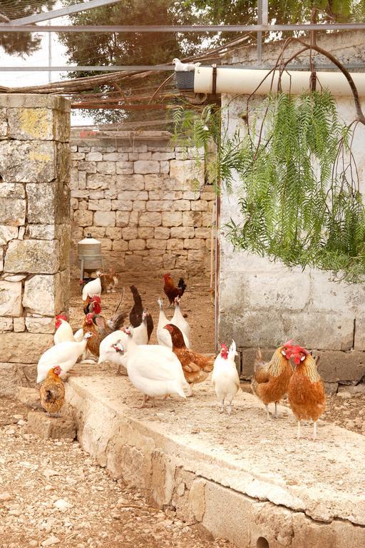Masseria Curatori Монополи Екстериор снимка