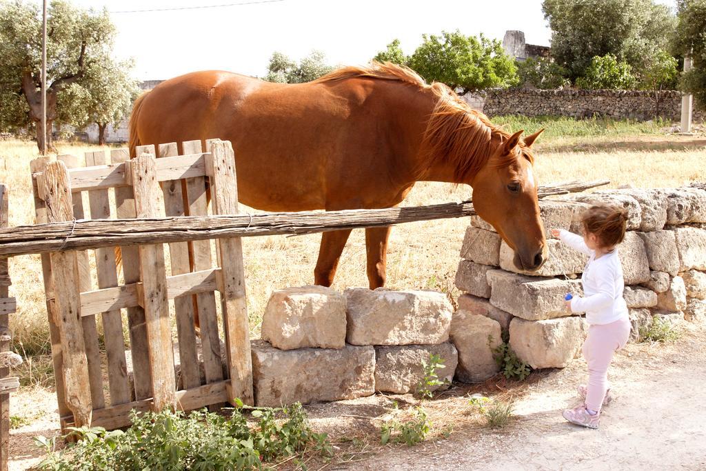 Masseria Curatori Монополи Екстериор снимка